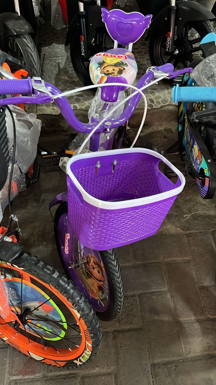 SEPEDA ANAK CEWEK BESAR